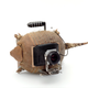 Illustration for article titled Curious cameras made from stuffed armadillos and turtle shells